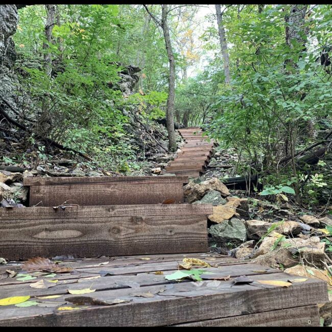 A trail at Winterset dives deep into forestland.
